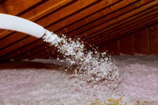 Best Insulation Installation Services in River Road, WA
