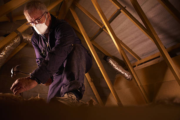 Best Types of Insulation in River Road, WA